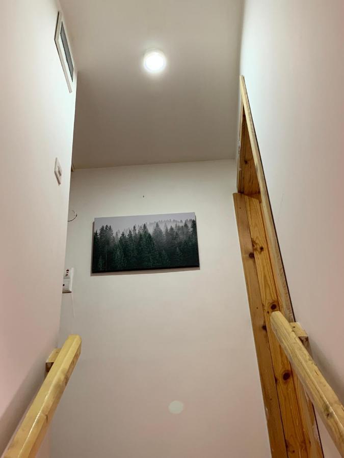 Mountain Vista Chalet Zabljak  Bagian luar foto